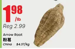 Terra Foodmart Arrow Root offer