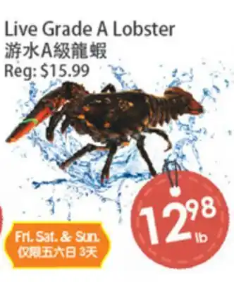 Fresh Palace Supermarket Live Grade A Lobster offer