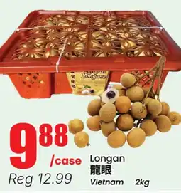 Terra Foodmart Longan offer