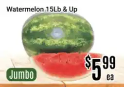 Nations Fresh Foods Watermelon 15Lb & Up offer