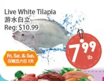 Fresh Palace Supermarket Live White Tilapia offer