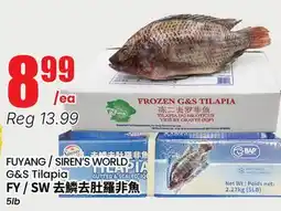 Terra Foodmart FUYANG / SIREN'S WORLD, G&S Tilapia offer