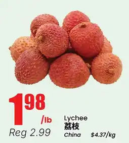 Terra Foodmart Lychee offer