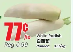 Terra Foodmart White Radish offer