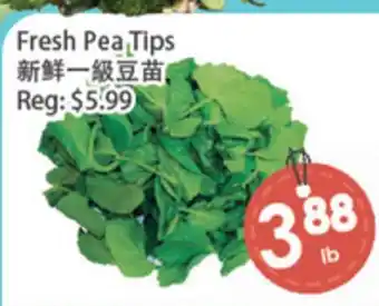 Fresh Palace Supermarket Fresh Pea Tips offer