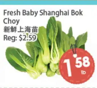 Fresh Palace Supermarket Fresh Baby Shanghai Bok Choy offer