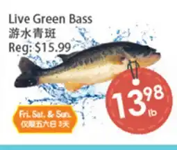 Fresh Palace Supermarket Live Green Bass offer