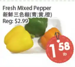 Fresh Palace Supermarket Fresh Mixed Pepper offer