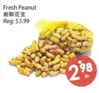 Fresh Palace Supermarket Fresh Peanut offer