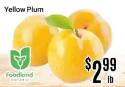 Nations Fresh Foods Yellow Plum offer
