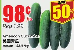 Terra Foodmart American Cucumber offer