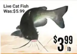 Nations Fresh Foods Live Cat Fish offer