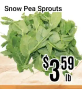 Nations Fresh Foods Snow Pea Sprouts offer