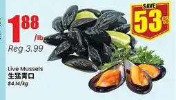 Terra Foodmart Live Mussels offer
