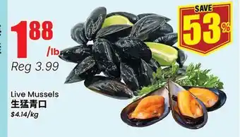 Terra Foodmart Live Mussels offer