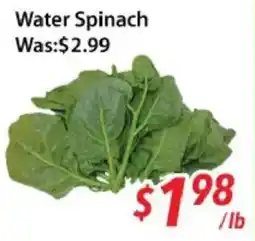 Ample Food Market Water Spinach offer
