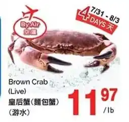 T&T Supermarket Brown Crab Live offer