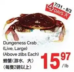 T&T Supermarket Dungeness Crab Live, Large offer