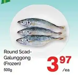 T&T Supermarket Round Scad- Galunggong Frozen offer