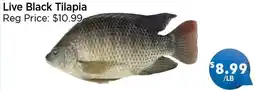 Blue Sky Supermarket Live Black Tilapia offer