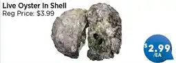 Blue Sky Supermarket Live Oyster In Shell offer