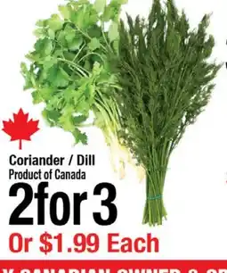 Arz Fine Foods Coriander/ Dill offer