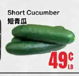 Oceans Fresh Food Market Short Cucumber offer