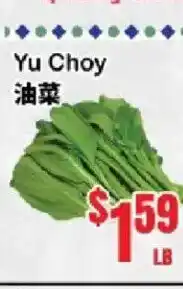 Oceans Fresh Food Market Yu Choy offer