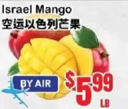 Oceans Fresh Food Market Israel Mango offer