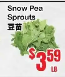Oceans Fresh Food Market Snow Pea Sprouts offer