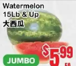 Oceans Fresh Food Market Watermelon offer