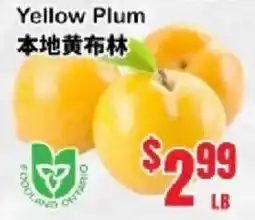 Oceans Fresh Food Market Yellow Plum offer