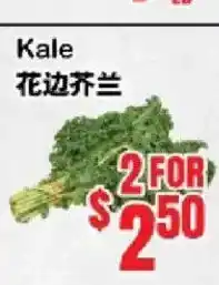 Oceans Fresh Food Market Kale offer