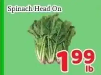 Fresh Value Spinach Head On offer