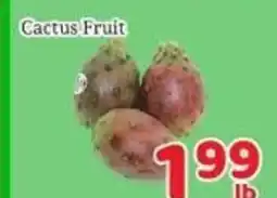 Fresh Value Cactus Fruit offer