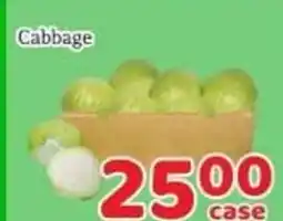Fresh Value Cabbage offer