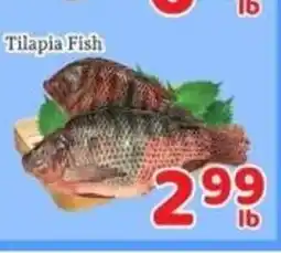 Fresh Value Tilapia Fish offer