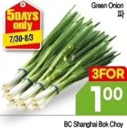 H-Mart Green Onion offer
