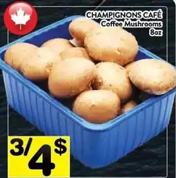 Supermarché PA Coffee Mushrooms offer