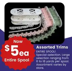 Fabricland Assorted Trims offer