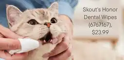 Petvalu Skout's Honor Dental Wipes offer