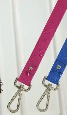 Petvalu JUMP! Waterproof Dog Leash offer