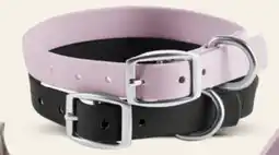 Petvalu Bailey & Bella Waterproof Dog Collar offer