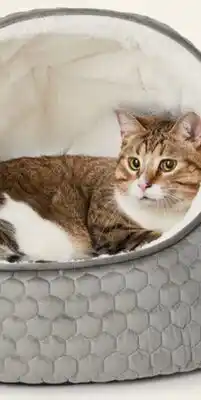 Petvalu Bailey & Bella Cat Cave Grey Chalet Bed offer