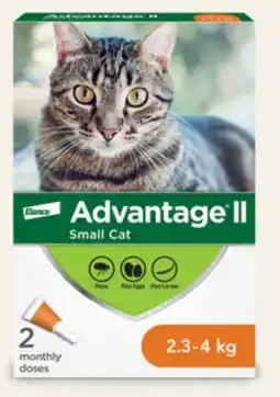 Petvalu Advantage II Topical Small Cat Flea Treatment offer