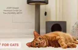 Petvalu JUMP! Maggie Hammock Condo Cat Tree offer
