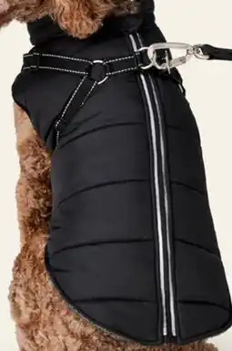 Petvalu Bailey & Bella 2-in-1 Black Harness Vest offer