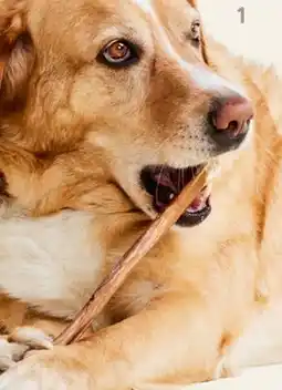 Petvalu Performatrin Ultra 12 Beef Bully Stick Dog Treat offer