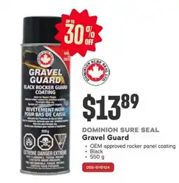 Bumper to Bumper DOMINION SURE SEAL Gravel Guard offer