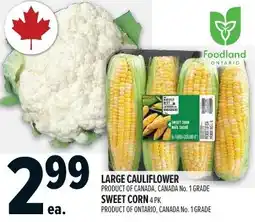 Metro Large cauliflower or Sweet corn offer